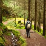 Зелената гора в България, Хълм Вю, България, туристическа природа, екологичен туризъм.