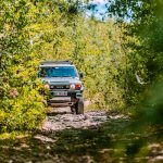 Автомобил на офроуд път сред борове, природа и зеленина в България.