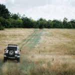 Каруца на полски пътища в зелена поляна край България.