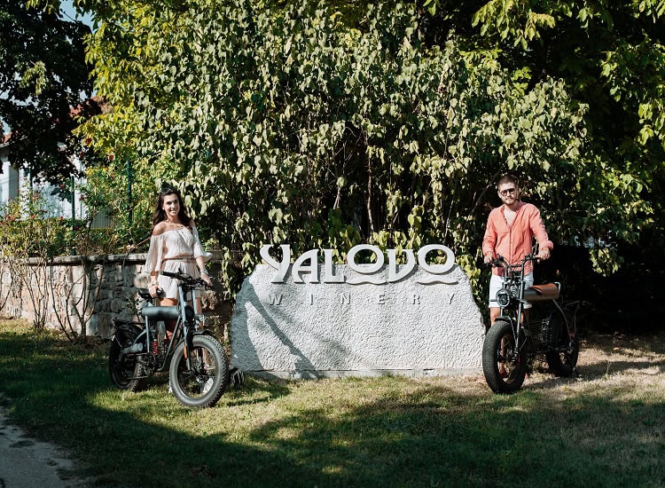 Вкусни вълшебства и прекрасна природа в сърцето на България, Hillview Bulgaria.