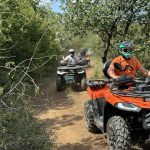 подаръци за близнаци