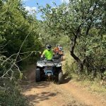 viber_изображение_2024-08-01_14-00-42-285