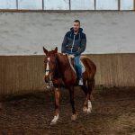 Възрастен мъж язди кон в конна база Хилвю България.