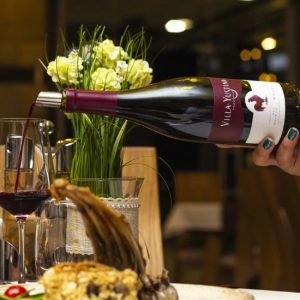 винена дегустация в Пловдив