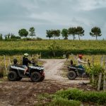 1. Алт текст: Винена градина и ATV приключения във Вила Хилвю, България.