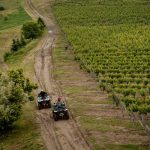 Зеленчукова градина във винена изба Хилвю България, живописен пейзаж, дегустация и туризъм в България.