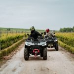 Винена дегустация във винарска изба в Пловдив