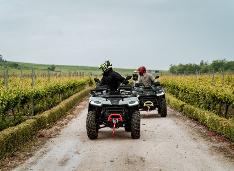 Винена дегустация във винарска изба в Пловдив