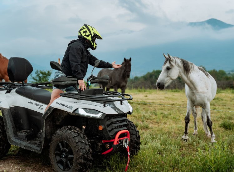 конна езда за двама