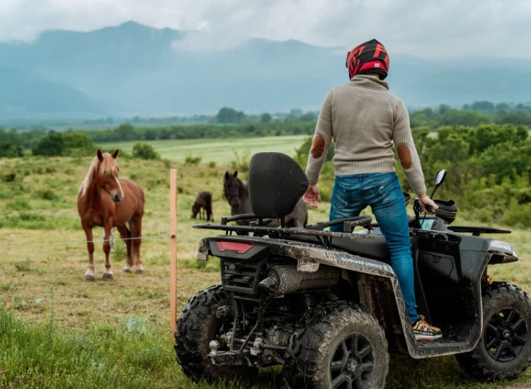 конна-езда11